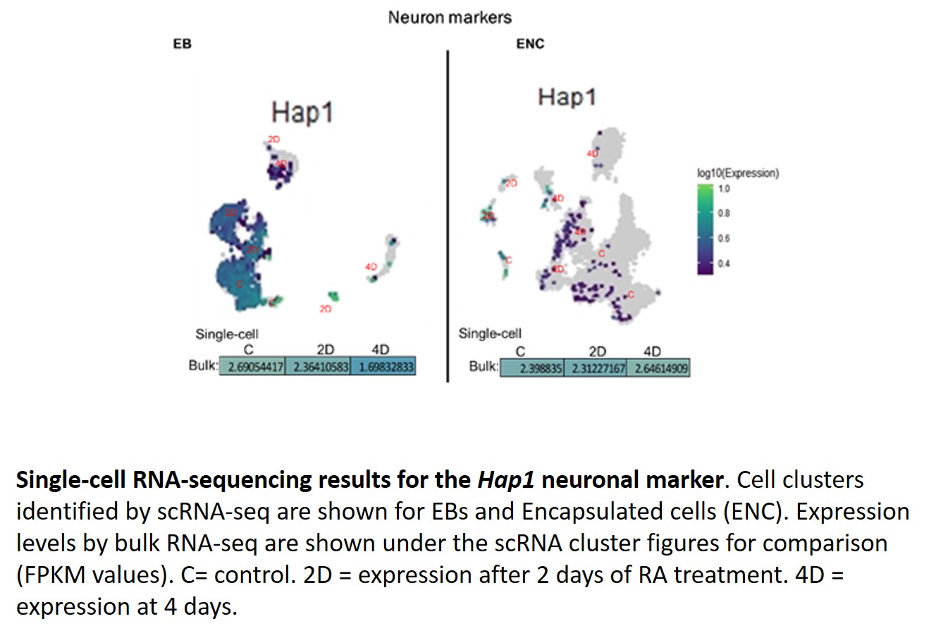 scRNA vs Bulk_Hap1